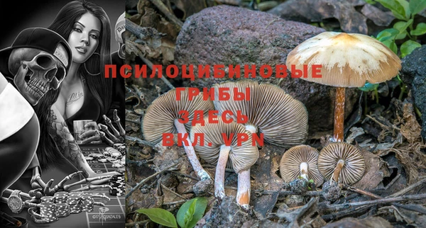 синтетический гашиш Корсаков